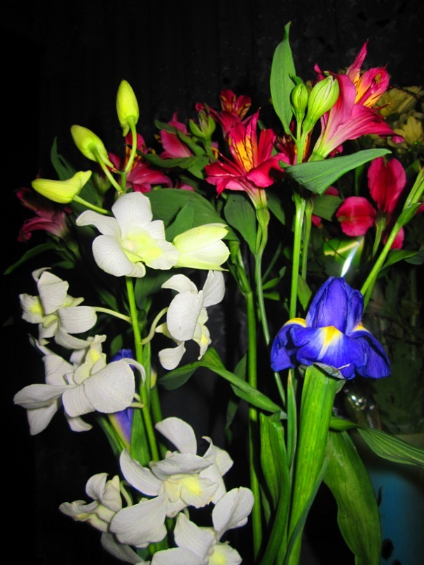 Ольга Гребенникова фотография #17