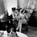 Ilya Ivankov фотография #16 (источник - https://vk.com/id1069757)