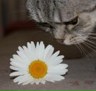 Фотография Малинки Антонины