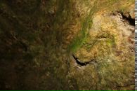 Сергій Метелюк фотография #15 (источник - https://vk.com/id72097332)