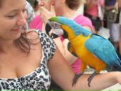 Фотография Павлюченко Евгении