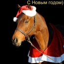 Фотография Бобров Алексей