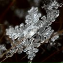 Фотография Девятковой Анны