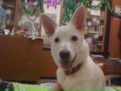 Фотография Вендта Артёма