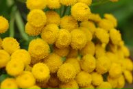 Фотография Бороды Марины