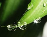 Фотография Курышовой Наташи