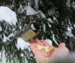 Фотография Чижиковой Лидии