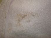 Наталя Кузів фотография #8 (источник - https://vk.com/id67168691)