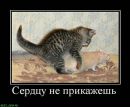 Іра Сiдорчук фотография #4 (источник - https://vk.com/id27743744)