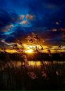 Фотография Матвеева Павла