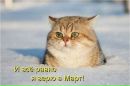 Фотография Зайцевой Натальи
