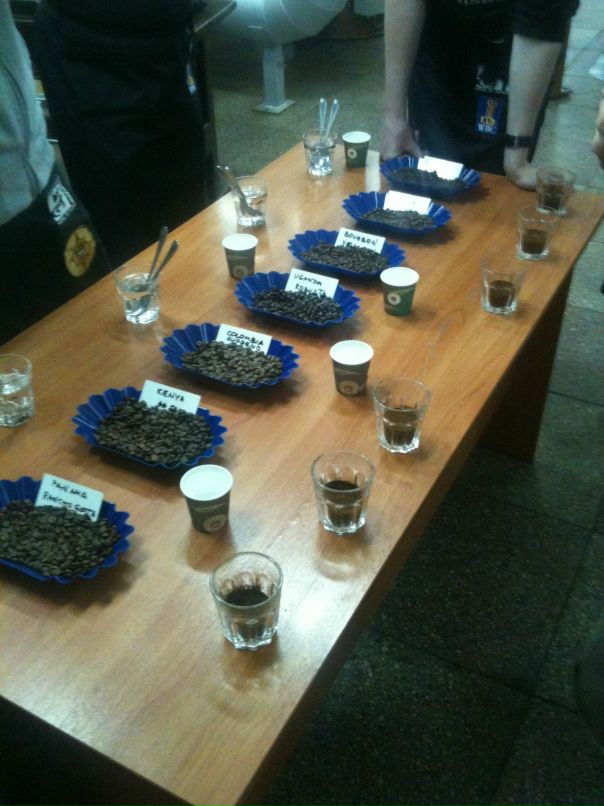 Дмитрий Павлов фотография #29