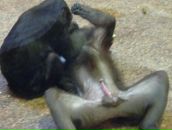 Сергей Кондратьев фотография #33 (источник - https://vk.com/id12372225)