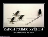 Сергій Чалий фотография #41 (источник - https://vk.com/id23832870)