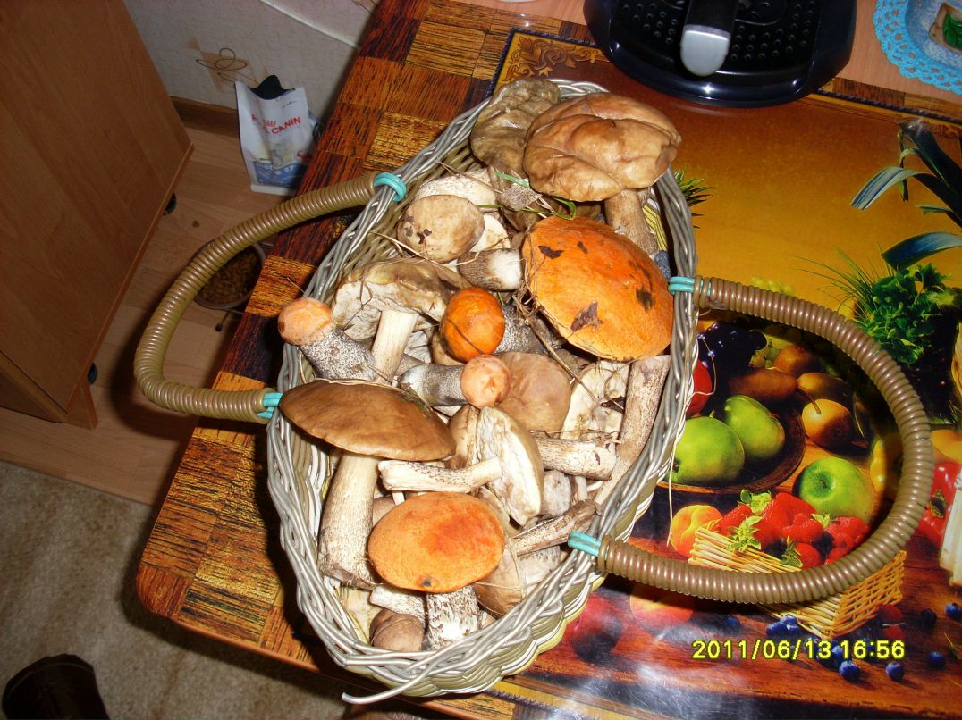 Стас Сушицкий фотография #13