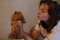 Фотография  