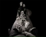 Фотография Вольфцун Ольги