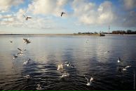 Дмитрий Арсентьев фотография #20 (источник - https://vk.com/id239494)