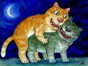 Фотография Стеф Наты