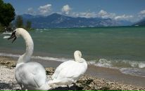 Юлія Шкіль фотография #15 (источник - https://vk.com/id5979059)