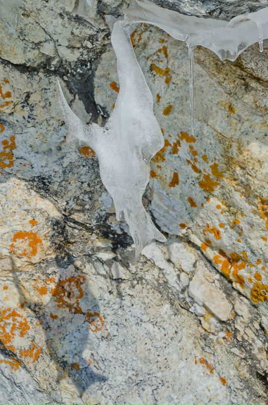 Антон Дёмин фотография #49