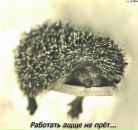 Фотография Лиманской Ирины