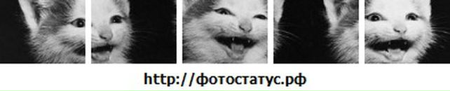 Діма Обуховський фотография #25 (источник - https://vk.com/id124927201)