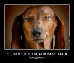 Фотография Илалова Олега