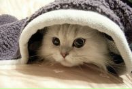 Юлія Сироїд фотография #49 (источник - https://vk.com/id33130929)