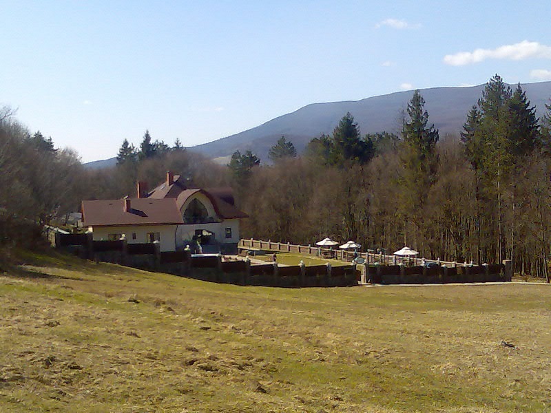 Сергей Молдован фотография #30