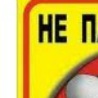 Саша Ліпатніков фотография #26 (источник - https://vk.com/id57059159)