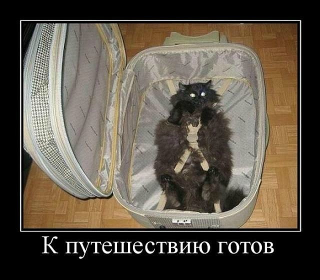 Антон Прилипской фотография #16