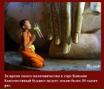 Ірина Бистрицька фотография #32 (источник - https://vk.com/id4862628)