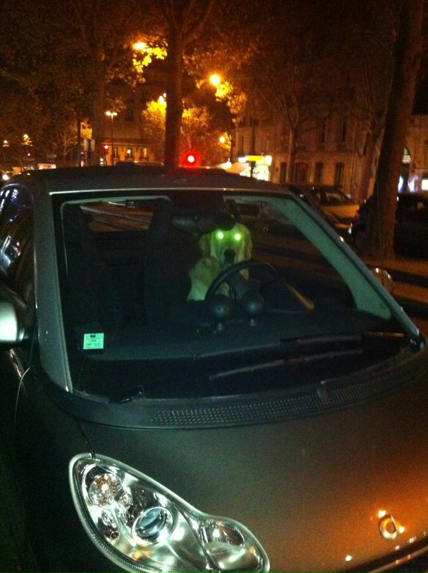 Далида Абдулаева фотография #30