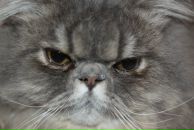 Наталія Гуда-Пасічник фотография #1