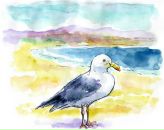 Фотография Коротковой Виктории