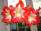 Фотография Каленик Олег