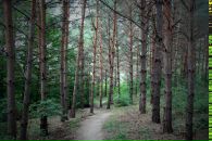 Сергій Музика фотография #5 (источник - https://vk.com/id13662234)