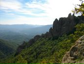 Фотография Родичева Аня