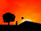 Фотография Столяров Николай