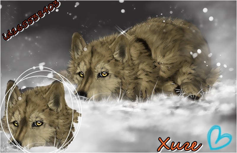 Хиге Wolf фотография #34