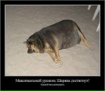Стас Гребиньский фотография #11 (источник - https://vk.com/id85393011)