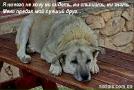 Ольга Хотченкова фотография #10 (источник - https://vk.com/id133458224)