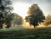 Фотография Потапенковой Марины