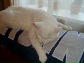 Фотография Булыгиной Кристины