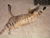 Фотография Крутова Дмитрия