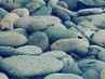Вікуся Бродовська фотография #34 (источник - https://vk.com/id159381109)
