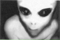 Alex Meyer фотография #24 (источник - https://vk.com/id2478875)