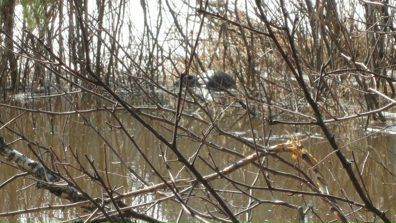 Сергей Рылов фотография #11