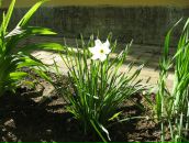 Фотография Анатольевны Марины